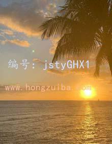 ҵ